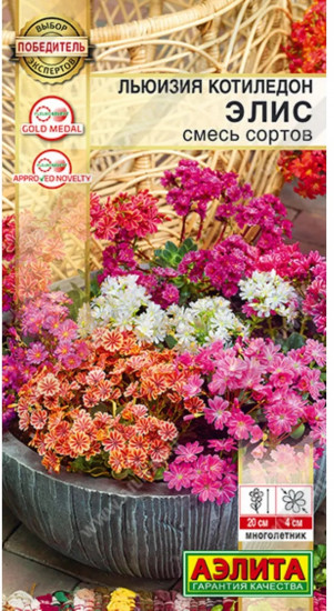 Семена льюизии котиледона, смесь сортов «Элис»