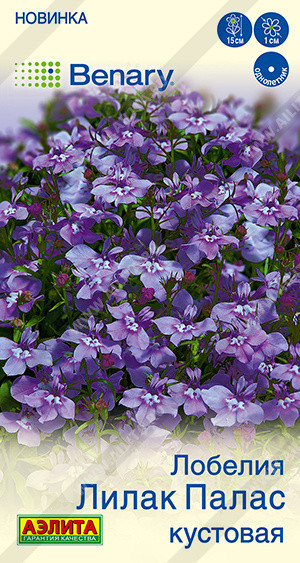 Семена лобелии кустовой «Лилак палас» | Benary | Аэлита
