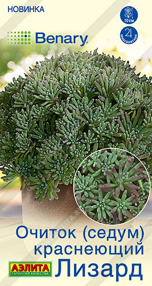 Семена очитка(седума) краснеющего «Лизард» | Benary | Аэлита