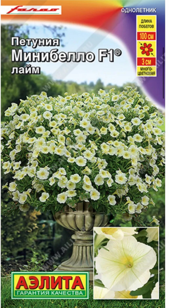Семена петунии «Минибелло F1 лайм» | Farao (Италия) | Аэлита