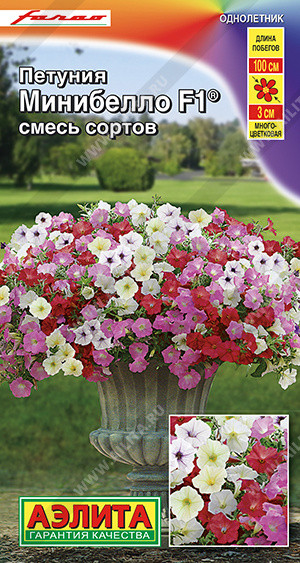 Семена петунии-мини «Минибелло F1, смесь сортов» | Farao (Италия) | Аэлита