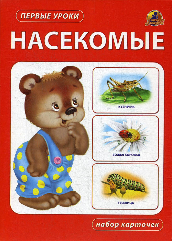 Насекомые. Набор карточек | Первые уроки