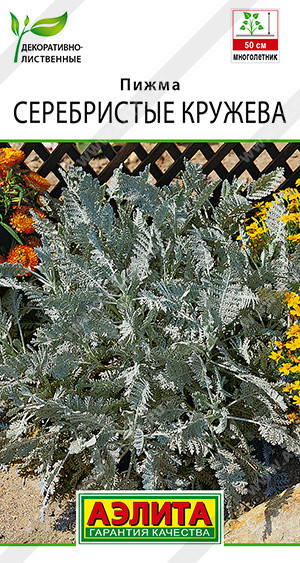 Семена пижмы «Серебряное кружево» | Аэлита