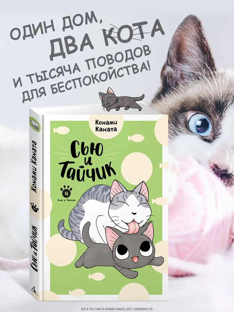 Сью и Тайчик. Книга 4 | Графические романы