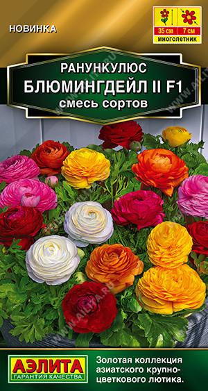Семена ранункулюса «Блюмингдейл II F1, смесь сортов» | Золотая серия | Аэлита