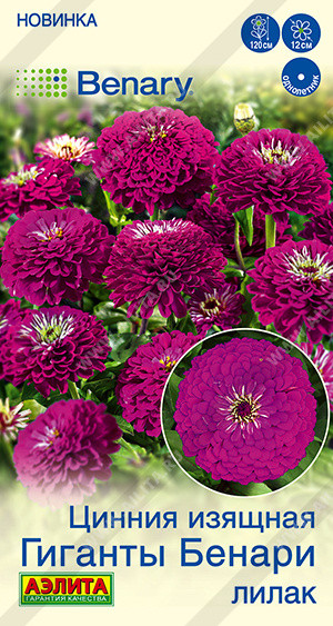 Семена циннии «Гиганты Бенари лилак» | Benary | Аэлита