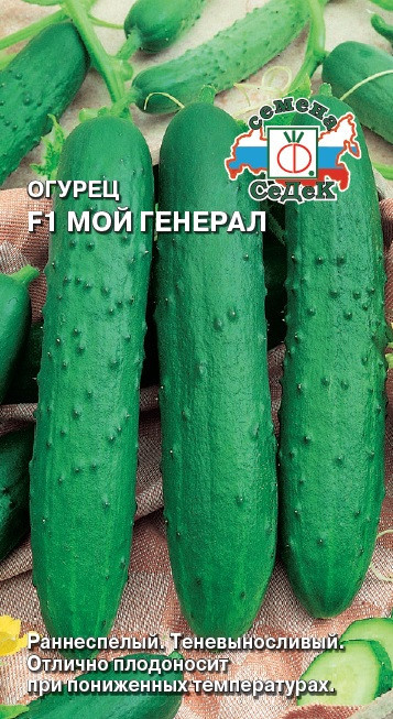 Семена огурца «F1 Мой Генерал» | СеДеК
