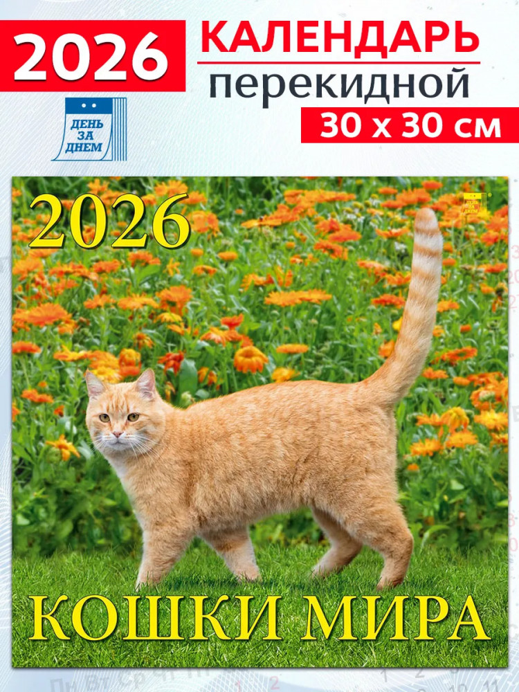 Календарь настенный на 2026 год «Кошки мира»