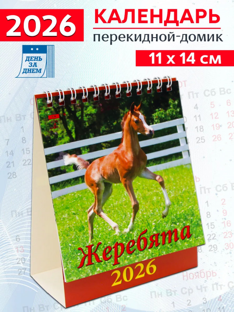 Календарь-домик на 2026 год «Год лошади. Жеребята»