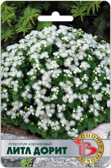 Семена агератума карликового «Литл Дорит»