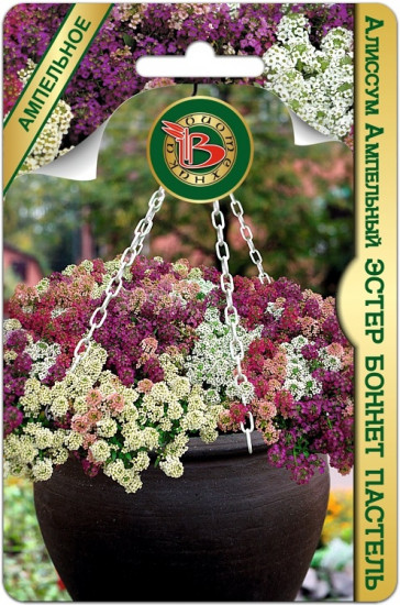 Семена алиссума, смесь красок «Эстер Боннет Пастель»