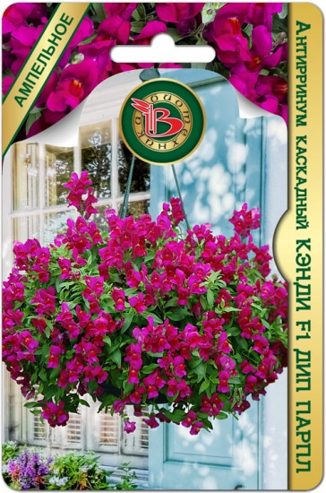 Семена антирринума каскадного «Кэнди F1 Дип Парпл»