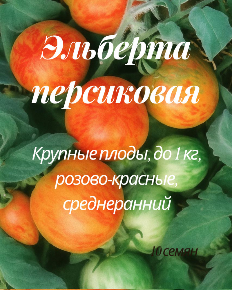 Колекционные семена томата «Эльберта персиковая»