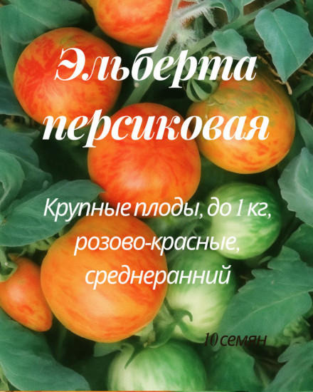 Колекционные семена томата «Эльберта персиковая»