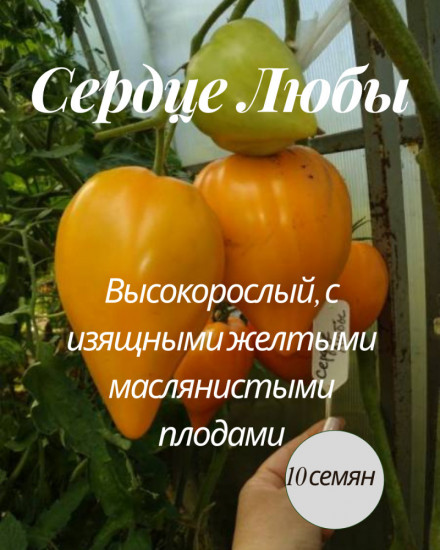 Колекционные семена томата «Сердце Любы»