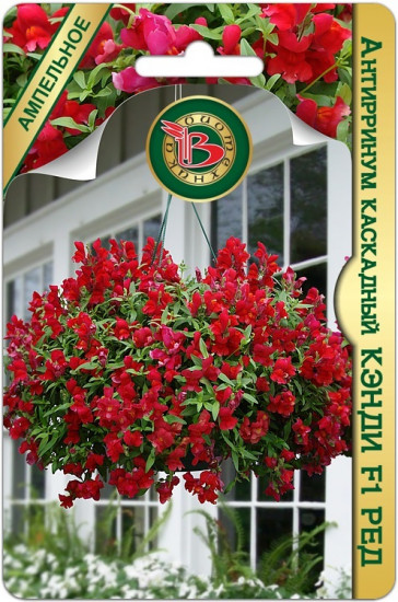 Семена антирринума каскадного «Кэнди F1 Ред»