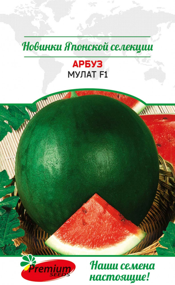 Семена арбуза «Мулат F1» | Premium Seeds