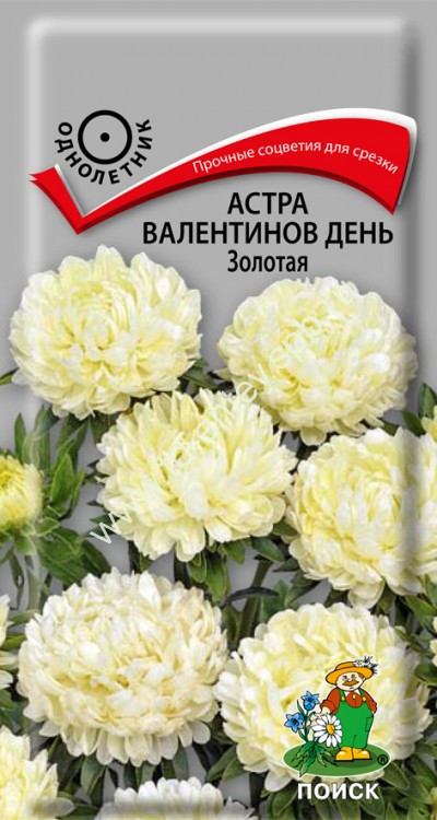 Семена астры «Валентинов день, золотая» | Поиск