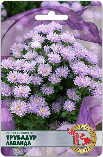 Семена астры «Трубадур Лаванда»