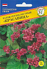 Семена бадана сердцелистного «Красавица»