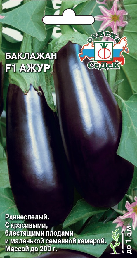 Семена баклажана «Ажур F1» | СеДеК