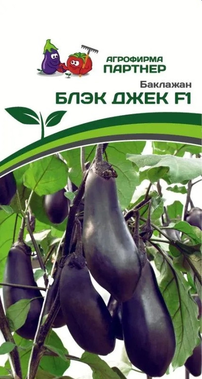 Семена баклажана «Блэк Джек F1» | Партнер
