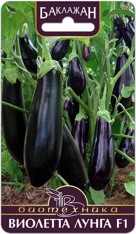 Семена баклажана «Виолетта Лунга F1» | Биотехника
