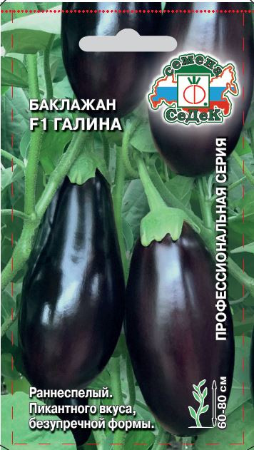 Семена баклажана «Галина F1» | СеДеК