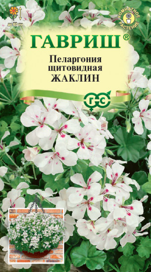 Семена пеларгония «Жаклин»