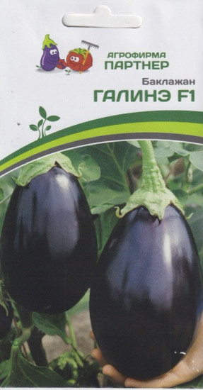 Семена баклажана «Галинэ F1»