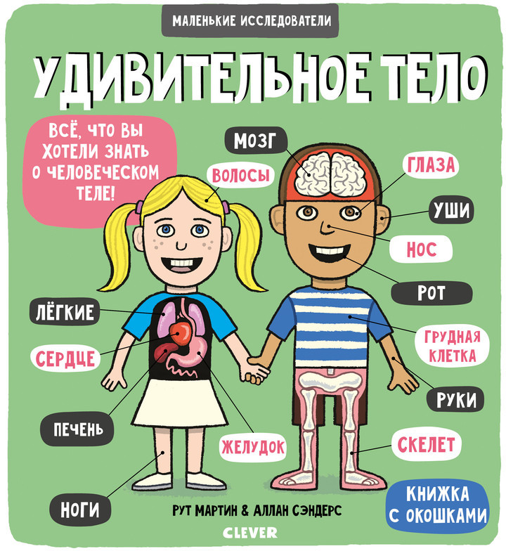 Удивительное тело | Маленькие исследователи