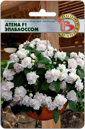 Семена бальзамина «Валлера Атена F1 Эплблоссом»
