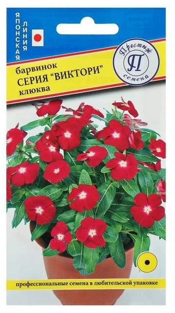 Семена барвинка «Виктори Клюква» | Японская линия | Престиж