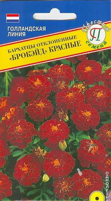 Семена бархатцев «Брокэйд Красные» | Голландская линия | Престиж семена