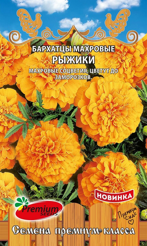 Семена бархатцев «Рыжики» | Premium Seeds