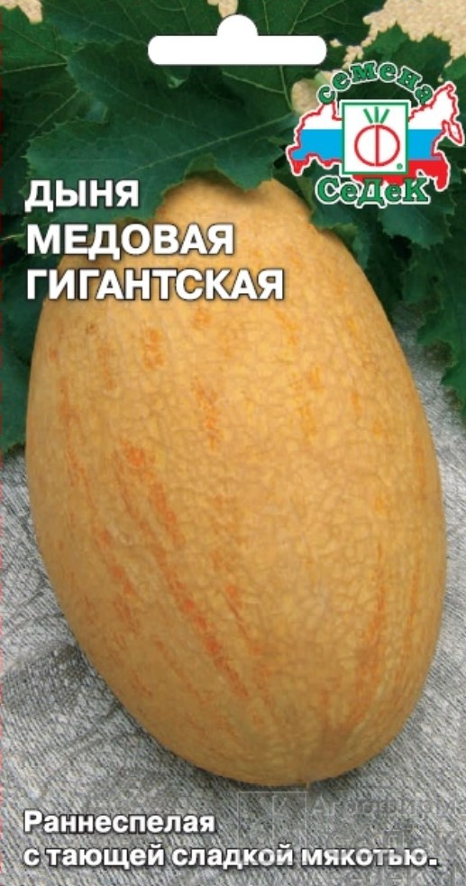 Семена дыни «Медовая гигантская» | СеДеК