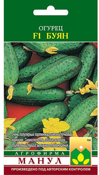 Семена огурца «Буян F1» | Манул