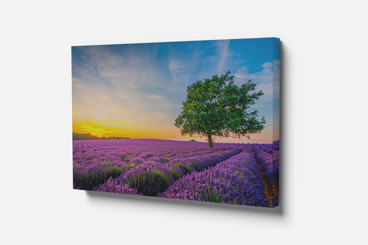 Картина «Лавандовые мечты» | Симфония
