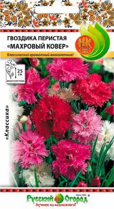Семена гвоздики перистой «Махровый ковёр» | Русский Огород