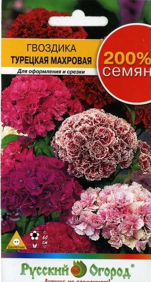 Семена гвоздики «Турецкая махровая 200%, смесь» | Русский Огород