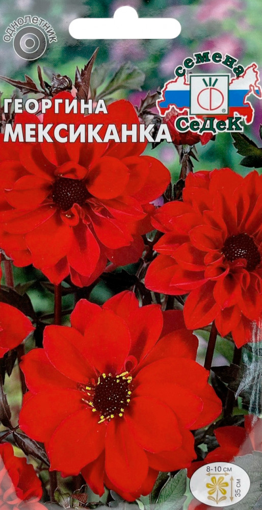 Семена георгины «Мексиканка» | СеДеК