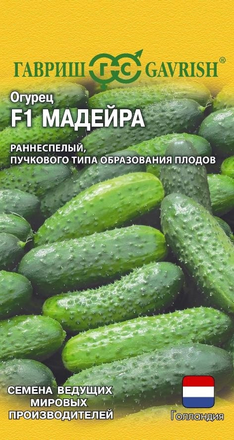Семена огурца «Мадейра F1» | Семена ведущих мировых производителей | Гавриш
