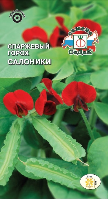 Семена гороха спаржевого «Салоники» | СеДеК