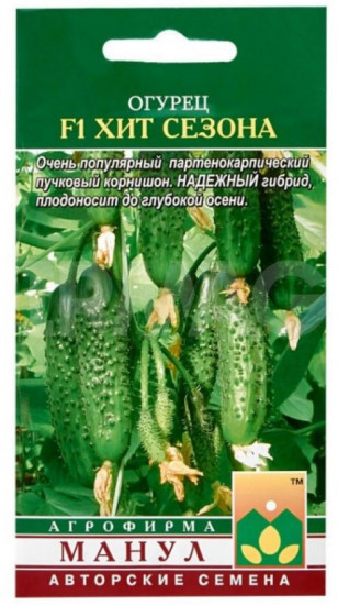 Огурец «Хит сезона»