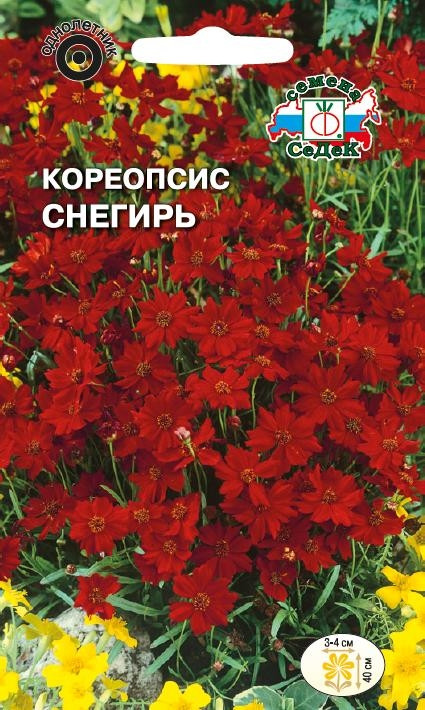 Семена кореопсиса «Снегирь» | СеДеК