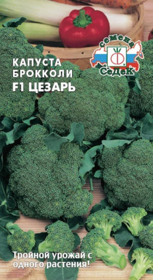 Семена капусты брокколи «Цезарь F1»