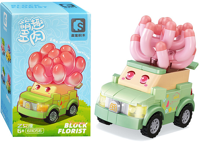 Конструктор «Машина с цветком» | Sembo