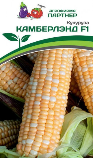Семена кукурузы «Камберлэнд F1»