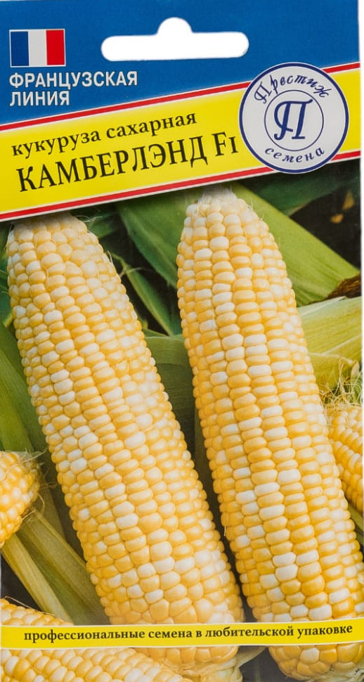 Семена кукурузы «Камберлэнд F1» | Французская линия | Престиж семена