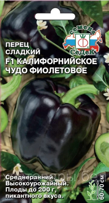 Перец сладкий «Калифорнийское чудо фиолетовое» | СеДеК